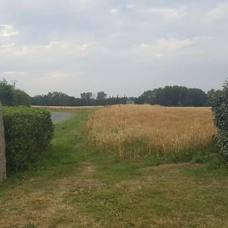 Gîte 3 places au cœur du Trégor Langoat Extérieur photo